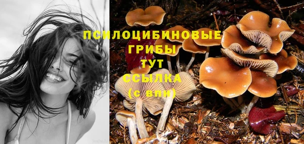 спиды Навашино