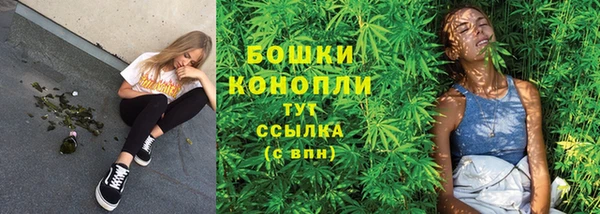 бошки Надым