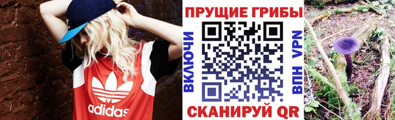 Галлюциногенные грибы MAGIC MUSHROOMS  как найти закладки  Кострома 
